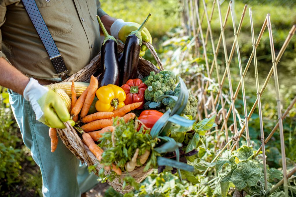 Persona sosteniendo una canasta con verduras frescas.